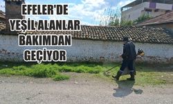Efeler’de yeşil alanlar bakımdan geçiyor