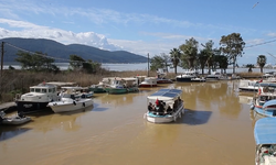 Gökova Körfezi’nin rengi değişti