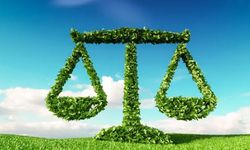 İklim Kanunu nedir, maddeleri nelerdir ve hangi sektörleri kapsıyor?