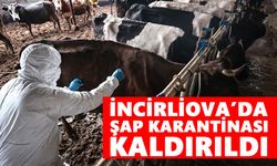 İncirliova’da şap karantinası kaldırıldı
