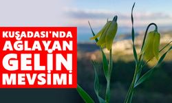 Kuşadası'nda ağlayan gelin mevsimi