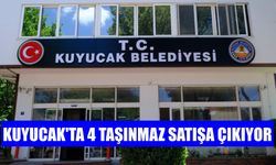 Kuyucak’ta 4 taşınmaz satışa çıkıyor