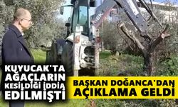 Kuyucak'ta ağaçların kesildiği iddia edilmişti: Başkan Doğanca'dan açıklama geldi