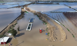 Menemen’de tarım arazileri sular altında kaldı