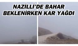 Nazilli Yaylapınar Mahallesi'nde kar sevinci