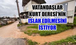 Nazilli'de dere mağduriyeti