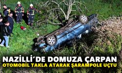 Nazilli’de domuza çarpan otomobil takla atarak şarampole uçtu