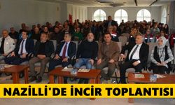 Nazilli'de incir toplantısı