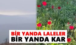 Nazilli'de kış bahara karıştı