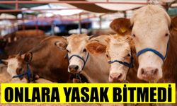 Nazilli'nin talihsiz mahalleleri