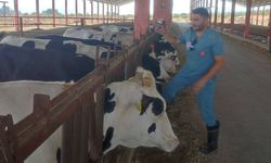 Nazilli'de 20 mahallede tedbirler kaldırıldı