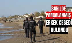 Sahilde parçalanmış erkek cesedi bulundu