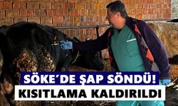 Söke’de şap söndü! Kısıtlama kaldırıldı