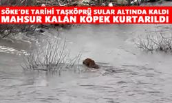 Söke’de tarihi Taşköprü sular altında kaldı: Mahsur kalan köpek kurtarıldı