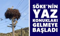 Söke’nin yaz konukları gelmeye başladı