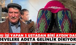 Bu işi yapan 3 ustadan biri Aydın’da!  Develere adeta gelinlik dikiyor