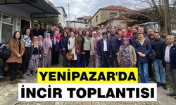 Yenipazar'da incir toplantısı: Müdür Temiz üreticilerle buluştu