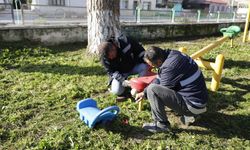 Aydın Büyükşehir Belediyesi’nden Koçarlı’ya yeşil dokunuş