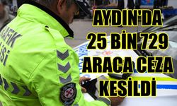 Aydın’da 25 bin 729 araca ceza uygulandı