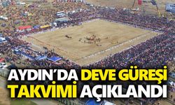 Aydın’da deve güreşleri yeniden başlıyor: 2026 takvimi açıklandı