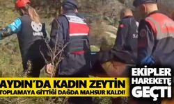 Aydın’da kadın zeytin toplamaya gittiği dağda mahsur kaldı! Ekipler harekete geçti