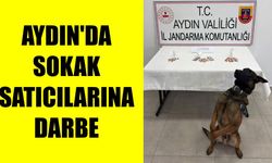 Aydın’da torbacı operasyonu: 10 tutuklama