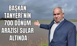 Büyük Menderes taştı, Söke Ovası göle döndü: Çiftçi tarlaya en erken mayısta girebilecek