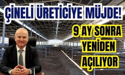 Çineli üreticiye müjde! 9 ay sonra yeniden açılıyor