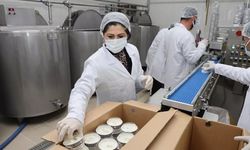 Pazarlamacı olarak girdiği sektörde patron oldu. Devlet desteğiyle kurduğu tesiste günde 5 ton dondurma üretiyor