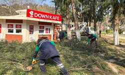 Efeler’de Pınarbaşı Mesire Alanı yenileniyor