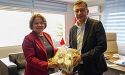 Ege’de yeni ulaşım hattı masada