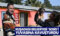 Kuşadası Belediyesi ‘Sosis’i yuvasına kavuşturdu