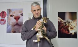 Kuşadası Belediyesi’nden kritik çağrı: Sokak kedileri için ücretsiz hizmet başladı