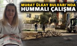 Nazilli'de yağmur molası bitti: Murat Ülkay Bulvarı'nda hummalı çalışma