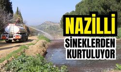 Nazilli Belediyesi ekipleri ilaçlama çalışmalarını sürdürüyor