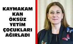 Nazilli’de anlamlı etkinlik: Kaymakam Kan öksüz yetim çocukları ağırladı