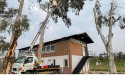 Tepecik Mesire Alanı yenileniyor