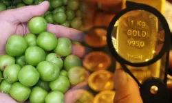 Yeşil erik gram altın fiyatlarını solladı! Bir kilosu 9 bin TL oldu