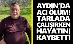 Aydın’da acı ölüm! Tarlada çalışırken hayatını kaybetti