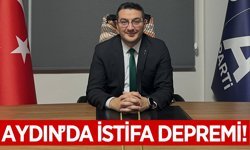 Anahtar Parti Aydın'da istifa depremi