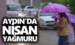Aydın’da Nisan yağmuru