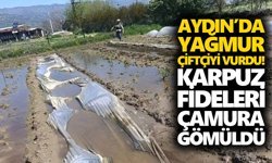 Aydın’da yağmur çiftçiyi vurdu! Karpuz fideleri çamura gömüldü
