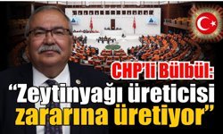 Aydın’da zeytin üreticisi zor durumda