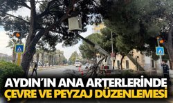 Aydın’ın ana arterlerinde çevre ve peyzaj düzenlemesi