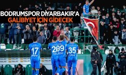 Bodrumspor, Diyarbakır'da Amedspor'un konuğu olacak