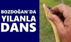 Bozdoğan'da yılanla dans