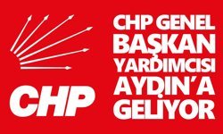 CHP Genel Başkan Yardımcısı Aydın’a geliyor