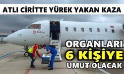 Cirit turnuvası faciaya dönmüştü: Organları 6 kişiye umut olacak
