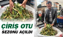 Doğu Anadolu'dan Nazilli pazarına