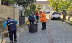 Efeler’de temizlik ve çevre düzenleme çalışmaları sürüyor